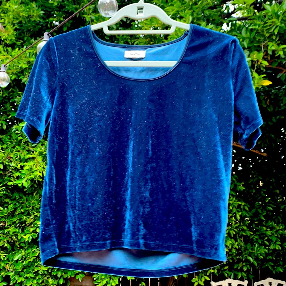 Blue velvet top